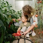 Ontdek de charme van zelf fruit en bloemen plukken in Pluktuin Noord-Holland